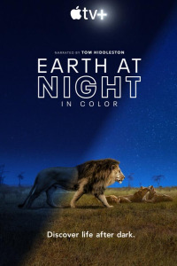 Земля ночью в цвете (2020)